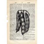 Dictionary Book Page Art Print Vegetables Food..