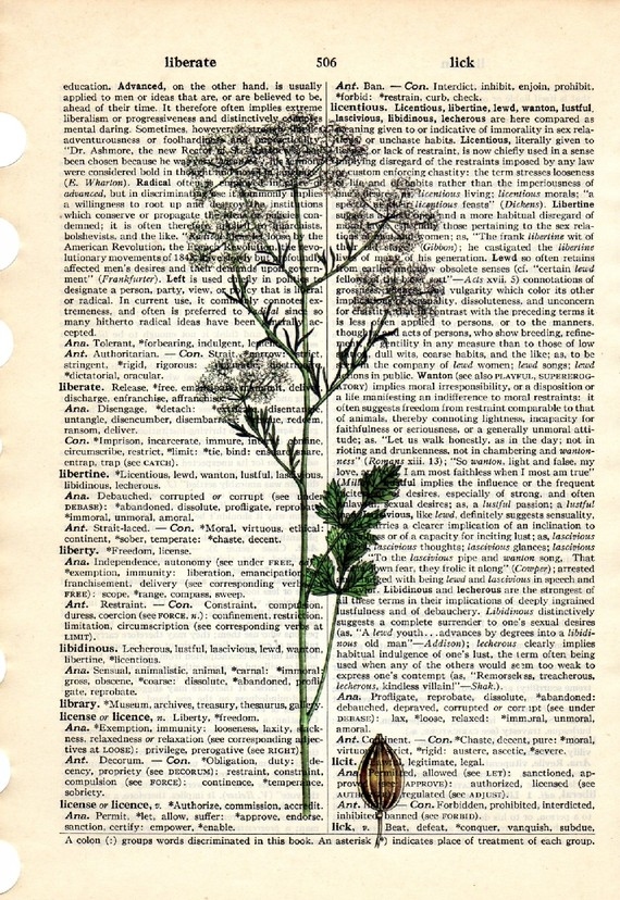 Dictionary Book Page Art print Anise herb