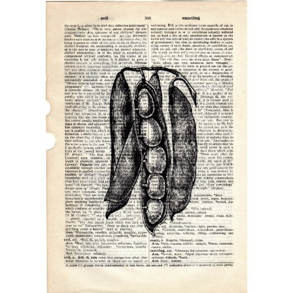 Dictionary Book Page Art Print Vegetables Food Peas